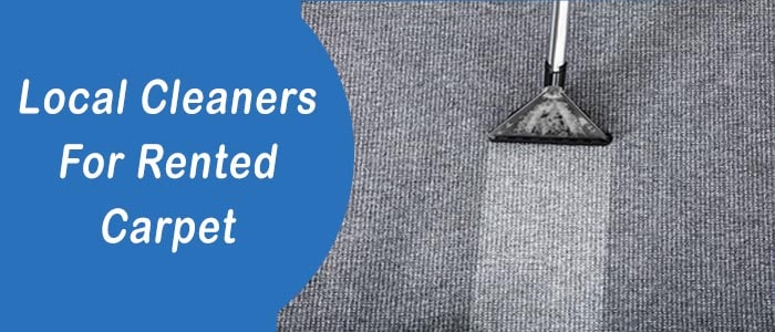 Local Cleaners For Rented Carpet